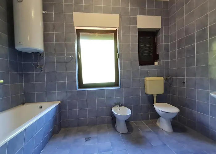 Vukelic Apartman *